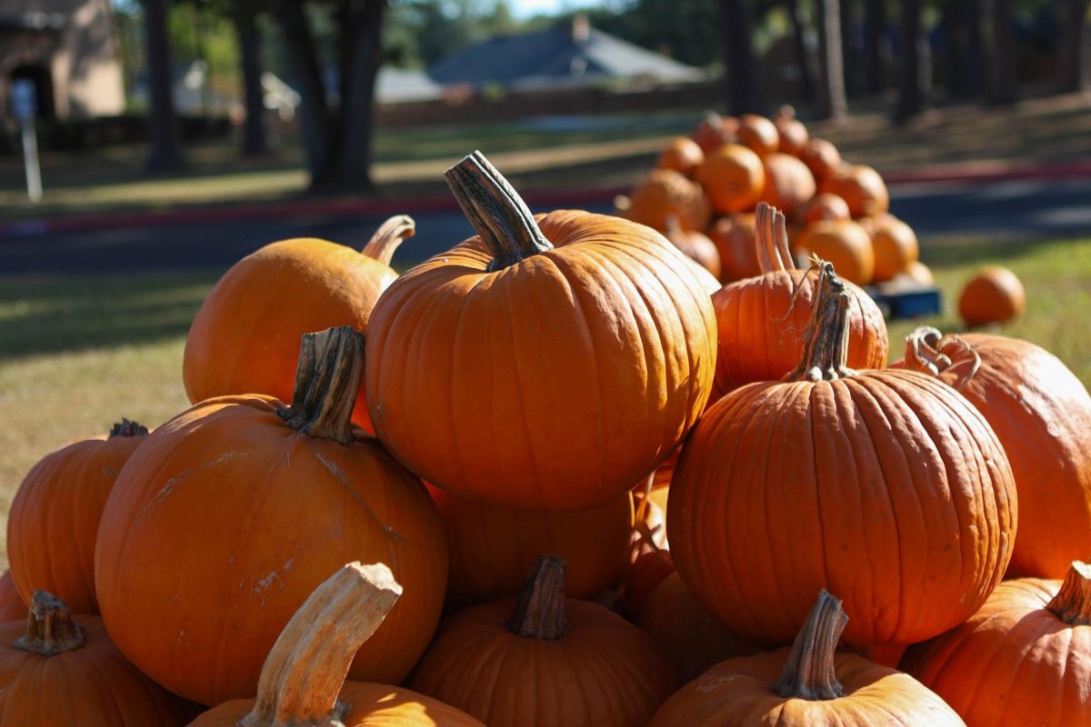 Halloween and Fall Activities in Texarkana