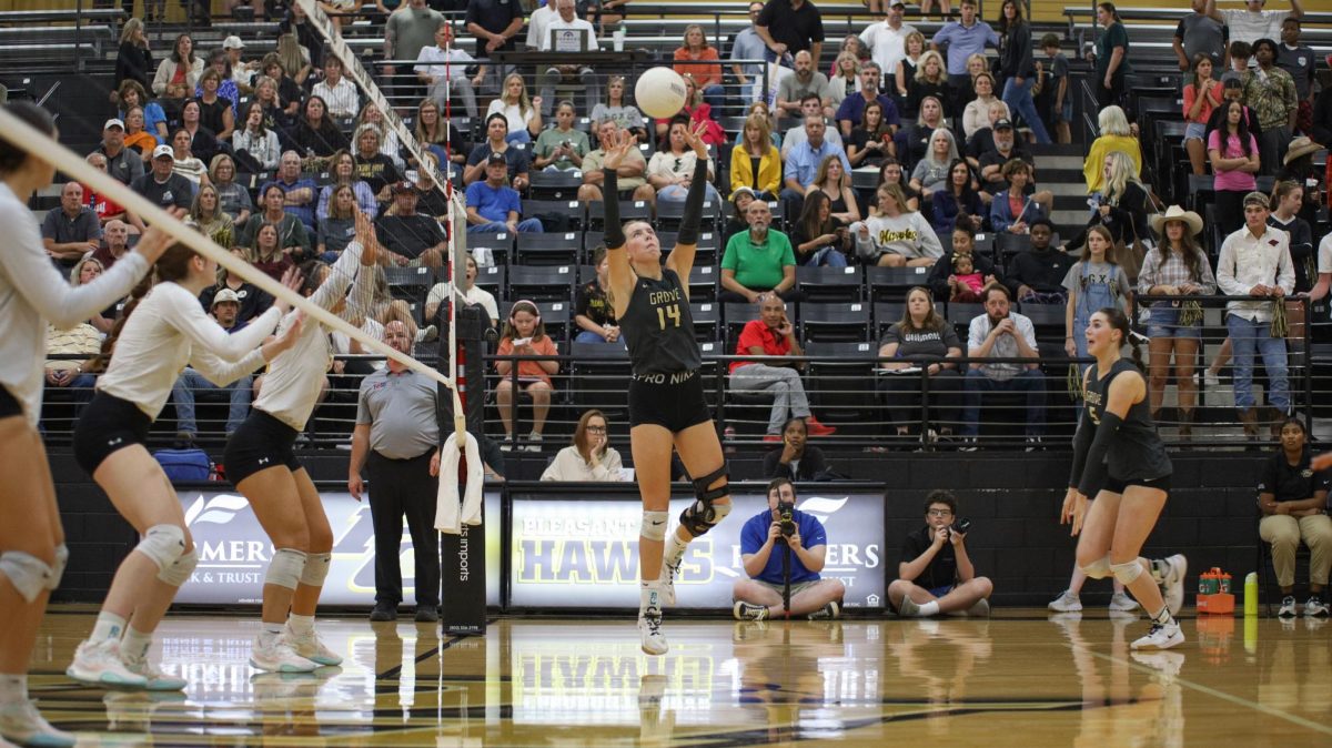 At the net, senior Reese Gibbs sets the ball to the outside hitter on senior night vs the North Lamar Pantherettes. 